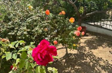 A little paradise - Foto 45