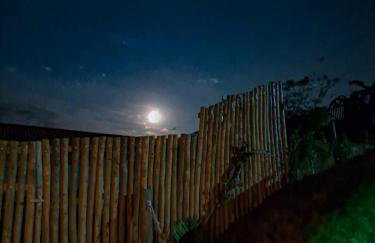 Aconchego do Pôr do Sol Sebollas - Foto 13