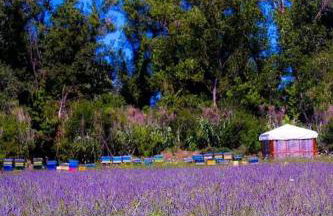 AGRITURISMO TERRAPIA - Foto 42