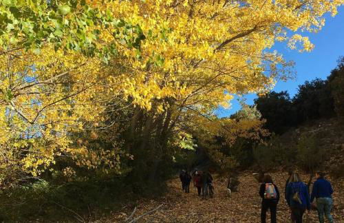 Molino del Machero - Foto 45