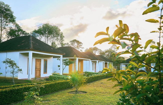 Andasibe Sifaka Lodge - Foto 3