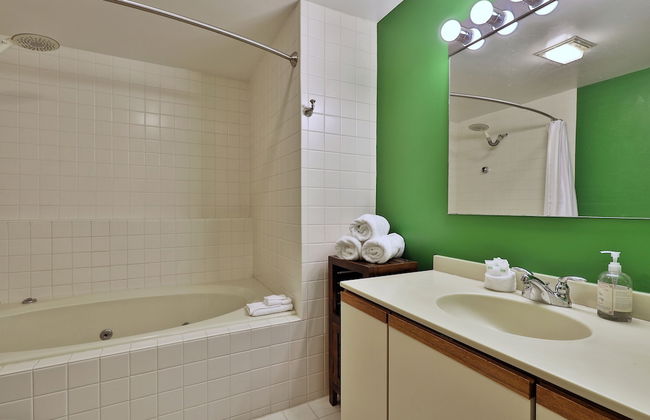 Fall Line Condo D1 1 Bedroom Condo - Foto 14