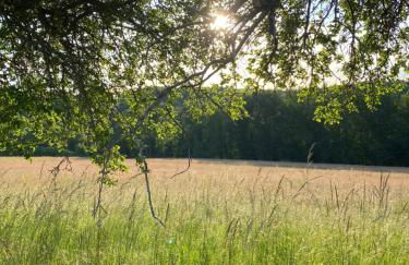 Ferienwohnung Burkhart - Foto 18