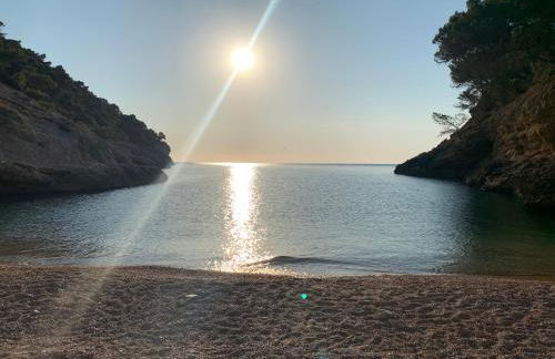 Downtown San Lorenzo - Foto 18