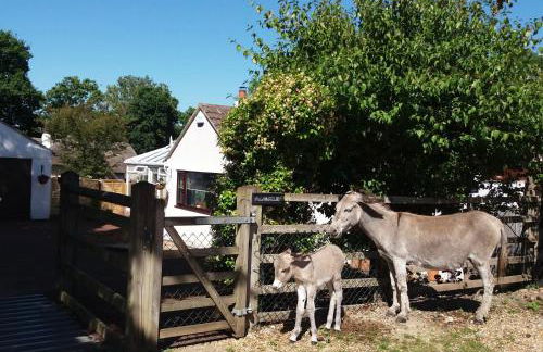 Forest Palms Studio The New Forest National Park - Foto 23