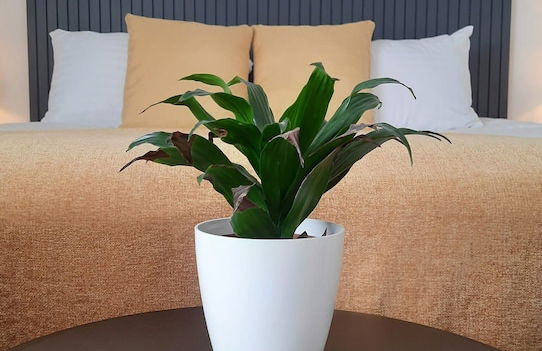 Deva Leisure - Foto 13