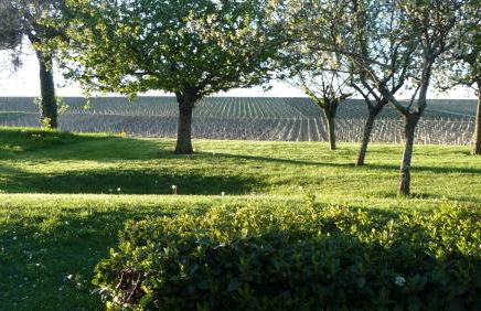 Gite Des Vignes - Foto 21