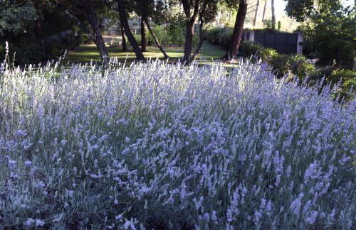 Maison calme et verdure - Foto 20