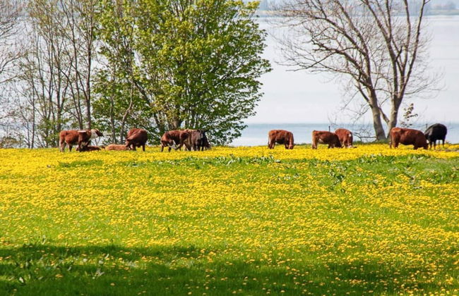 Lakeview Cottage Retreat-by Traum - Foto 20