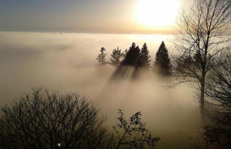 Apartment-Ferienwohnung Penzkofer - Foto 39