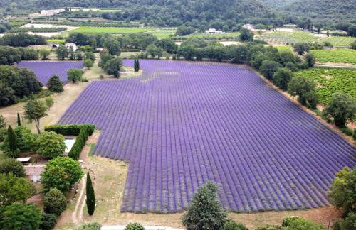 Holiday Home Gite Curel by Interhome - Photo 5