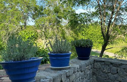 Mas Ardéchois de caractère - Photo 26