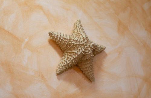 LA VEGUILLA DELUXE JACUZZi - Photo 34