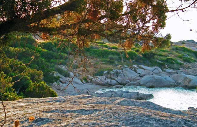 Mediterranean Villa of Liscia di Vacca - Foto 31