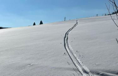 Villa Laas Oberwiesenthal - Foto 54