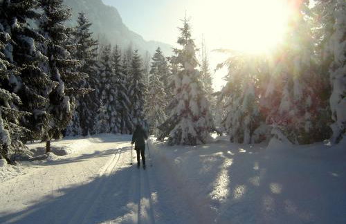 Hubertus Appartements Inzell - Foto 32