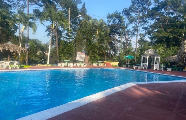 Brisas de los Alpes - Foto 7