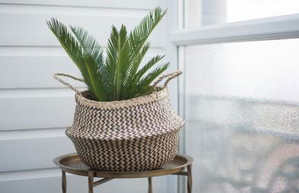 Marina Beach House - Foto 48