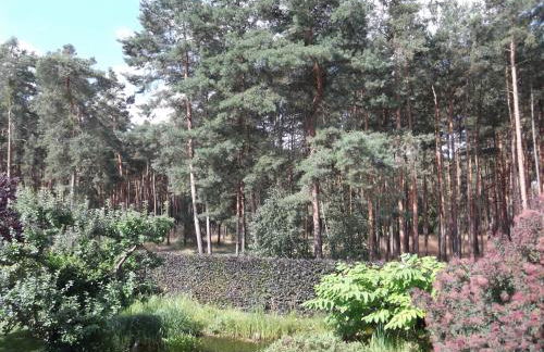 Amselgarten - Foto 43