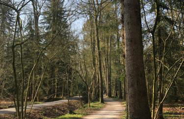 Ferienhaus Anni - Foto 45