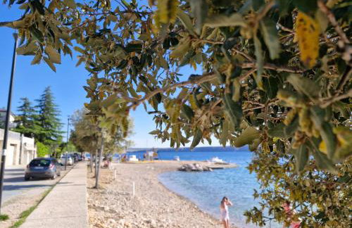 Apartman Valja - 55m2 - Sea View - Garden - Grill - Photo 47