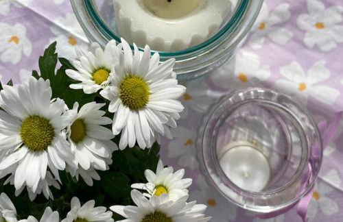 Pension und Ferienwohnung am Teich - Foto 24