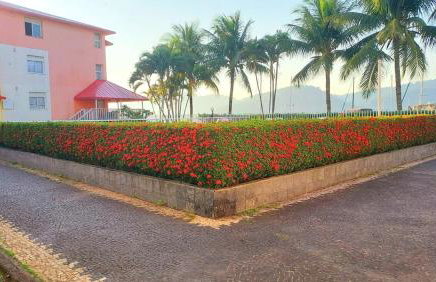 Apê 2 Qtos Beira Mar Piscina e Marina - Foto 40