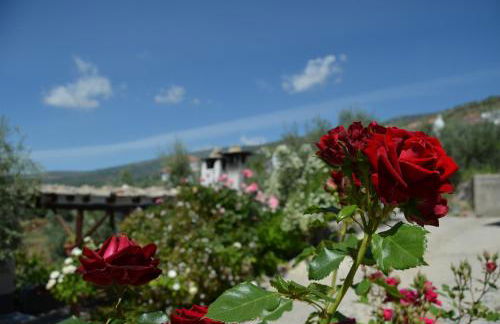 Balcón de Válor - Foto 25