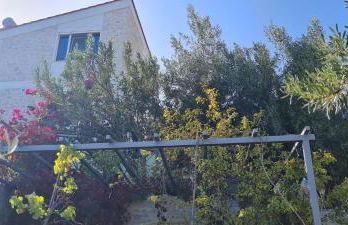 Πέτρα, Ελιά και Λεβάντα - Foto 41