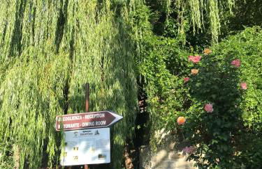 Agri Grotta dell'Eremita - Photo 29