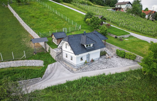 Vineyard cottage Jelenov hrib - Foto 21