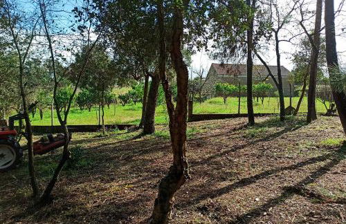 Refúgio de Alburitel - Foto 43