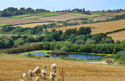 The Stable - Foto 22