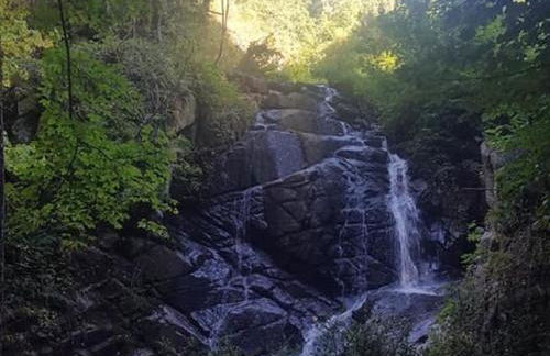 GITE Les Aubues - Foto 12