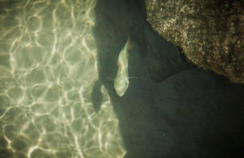 Casa encantadora com Vista Mar na Caponga - Foto 28