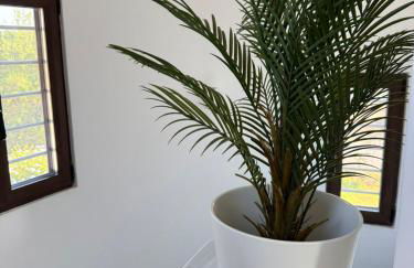 Blue & Green - Foto 36