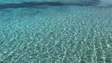 Can Yuca II - Foto 5