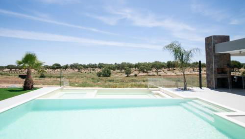Monte Calmaria by Estilo Lusitano, with private pool and Jacuzzi - Foto 4