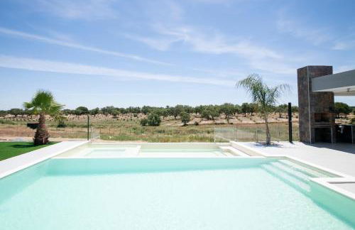 Monte Calmaria by Estilo Lusitano, with private pool and Jacuzzi - Foto 4