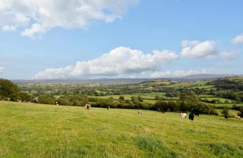 Grove Farm - Foto 73