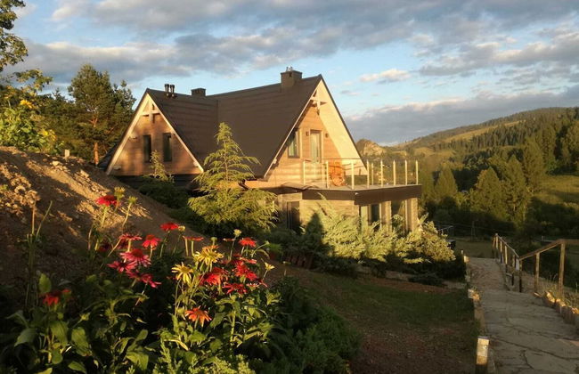 Jaworki Green Dream - Foto 1