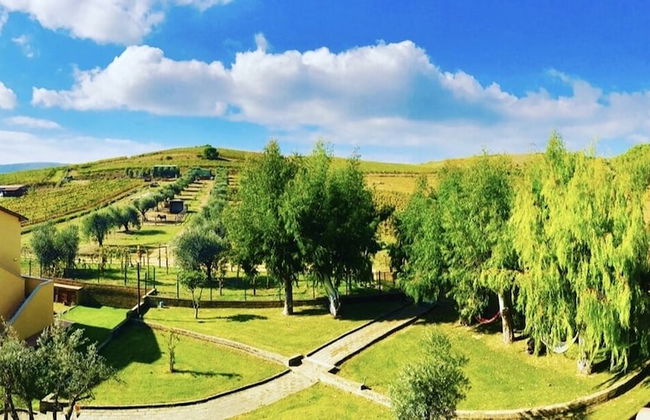 Cascina al colle - Photo 80