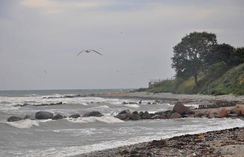 Küstenblick Marienleuchte - Foto 22