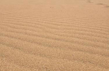 Golden Dune View - Foto 28