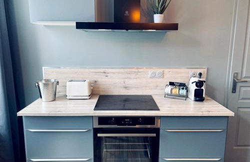 La bulle des Viennes MAISON CLIMATISEE - CHAMPAGNE - Foto 21