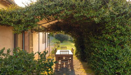 Bolgheri Countryhouse - Foto 3, Garden