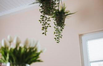 Rostocker Stadtidyll - Foto 17