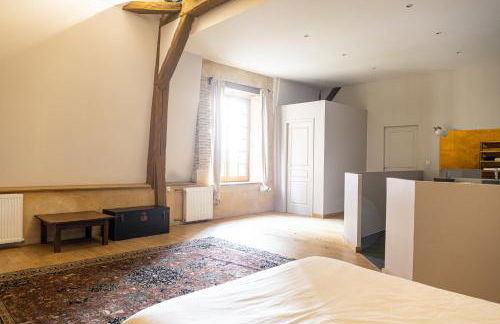 Ecuries du Château de Saint-Fargeau - Foto 11