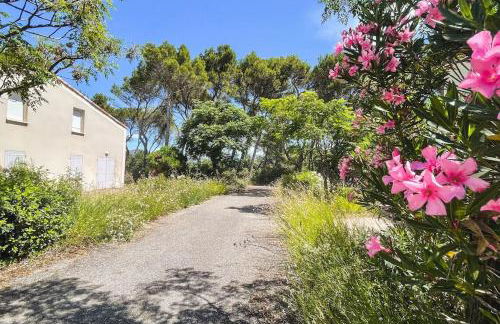 Maison en Provence - Les Bastidons du Ventoux - Photo 42