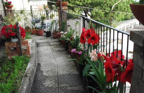 Le Mimose - Photo 48